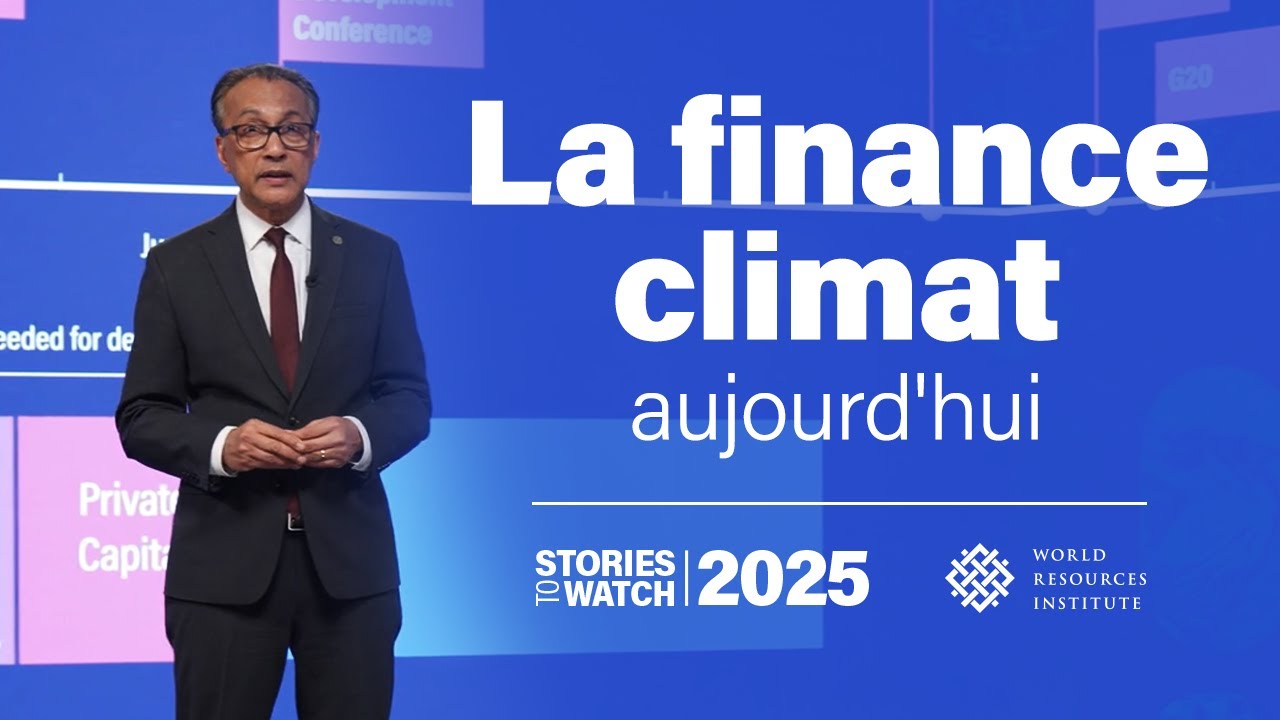La finance climat aujourd'hui | Stories to Watch 2025