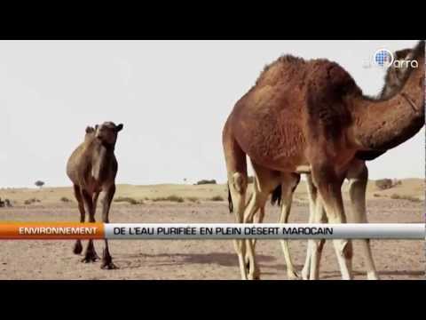 De l'eau purifiée en plein désert marocain