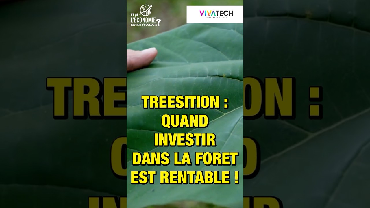 Avec Treesition, investir dans la forêt devient rentable !