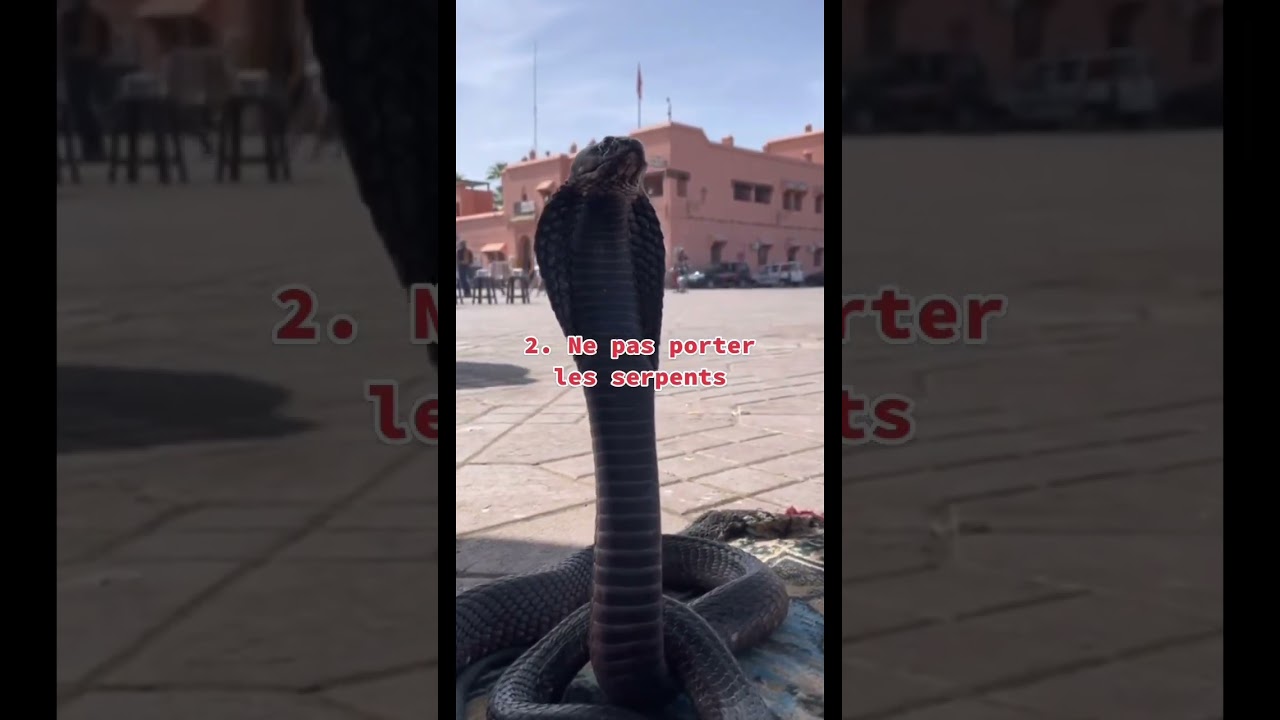 5 pièges que tu dois absolument éviter si tu vas à Marrakech #travel #marrakech #maroc #voyage