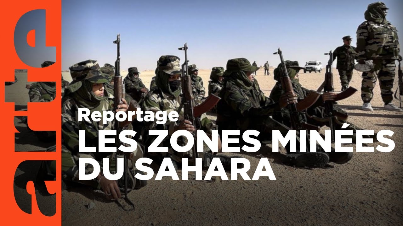 Sahara occidental : les combattantes du désert | ARTE Reportage