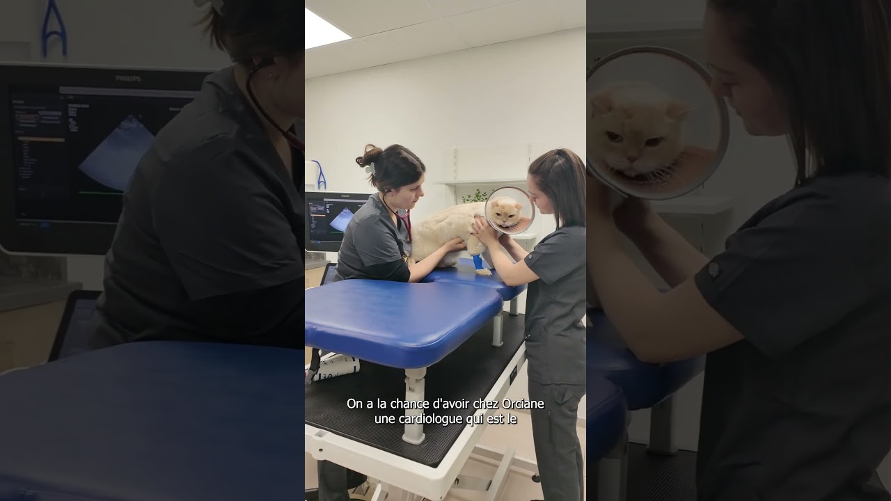 Pourquoi participer à notre prochaine Orciane Académie ?