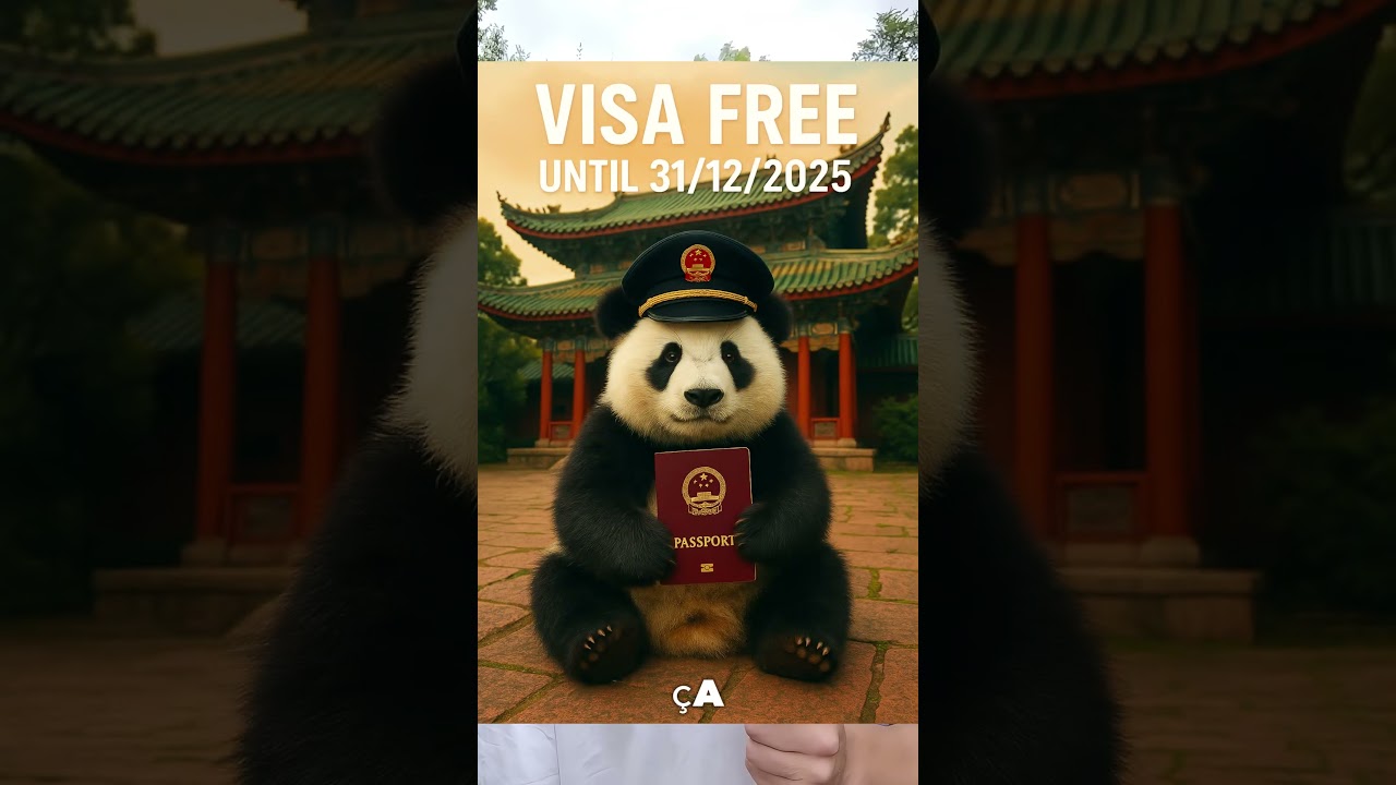 🇨🇳 VISA GRATUIT pour la Chine jusqu’au 31/12/2025 ! #sourcingchine #1688  #alibaba #chine #voyage