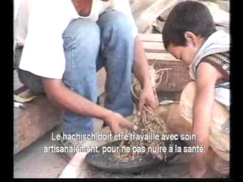 Documentaire sur la culture du cannabis au Maroc