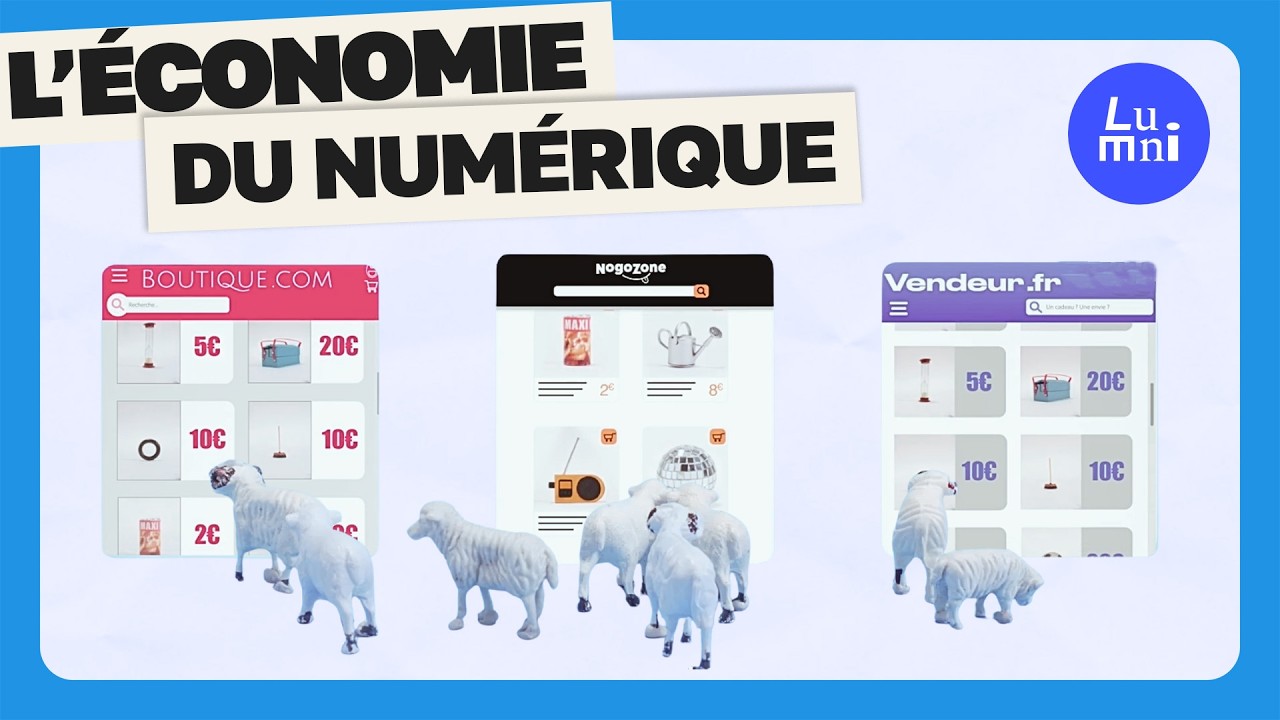 Économie numérique : les impacts de ce nouveau modèle, Les Clés de l'éco | Lumni