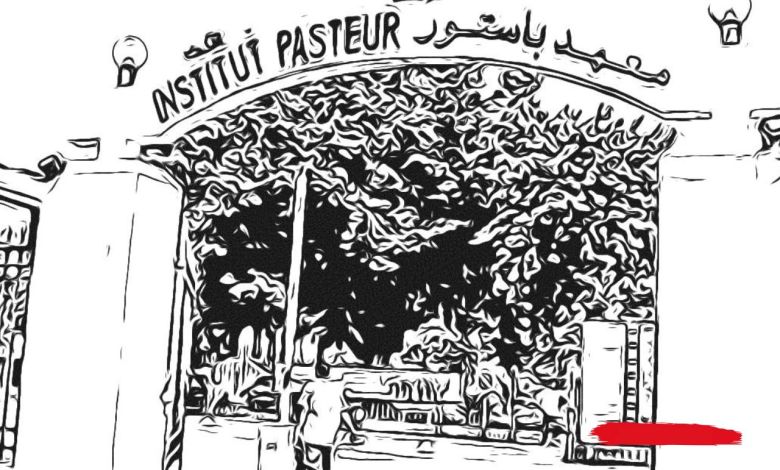 découvrez tout sur l'institut pasteur maroc en 2025 : actualités, missions, recherches, formations et innovations dans le domaine de la santé publique et biomédicale au maroc.