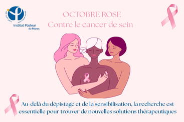 découvrez l'institut pasteur du maroc en 2025 : innovations en santé, recherche biomédicale, vaccination, et prévention des maladies infectieuses. retrouvez nos programmes, actualités et formations pour professionnels et grand public.