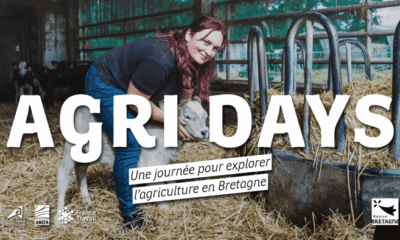 découvrez comment investir dans une ferme en bretagne en 2025 : opportunités, conseils d’experts, démarches et avantages pour développer votre projet agricole dans une région dynamique.