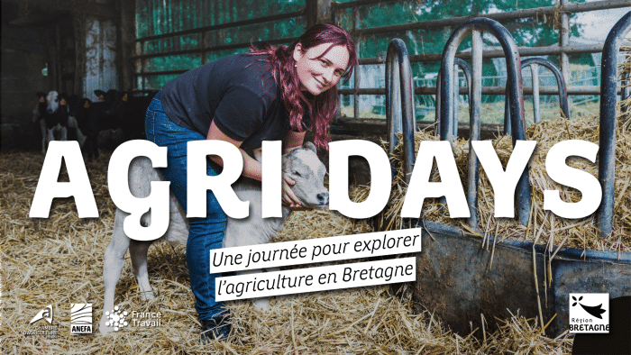 découvrez comment investir dans une ferme en bretagne en 2025 : opportunités, conseils d’experts, démarches et avantages pour développer votre projet agricole dans une région dynamique.