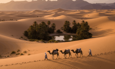 découvrez foum zguid, une perle du sud marocain, et explorez ses paysages désertiques, sa culture authentique et ses merveilles naturelles exceptionnelles.