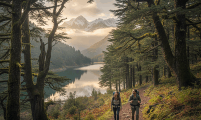 découvrez les incontournables à visiter dans la province de khénifra en 2025 : sites naturels, patrimoines culturels et activités uniques pour un voyage mémorable.