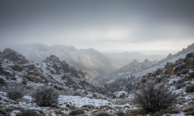 neuf migrants africains meurent tragiquement à la frontière maroco-algérienne, victimes des conditions extrêmes et du froid glacial.