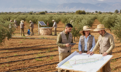 découvrez les opportunités de recrutement 2026 au ministère de l’agriculture : 162 postes disponibles via concours. préparez votre candidature pour intégrer le secteur agricole public.