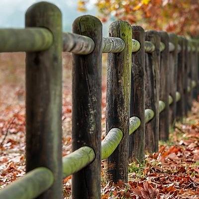 Rustic wooden fence in autumn leaves