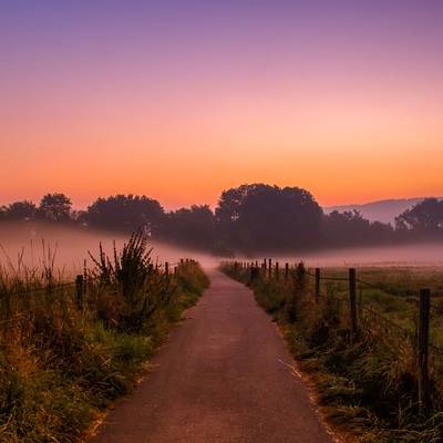 Chemin brumeux au lever du soleil, paysage rural.